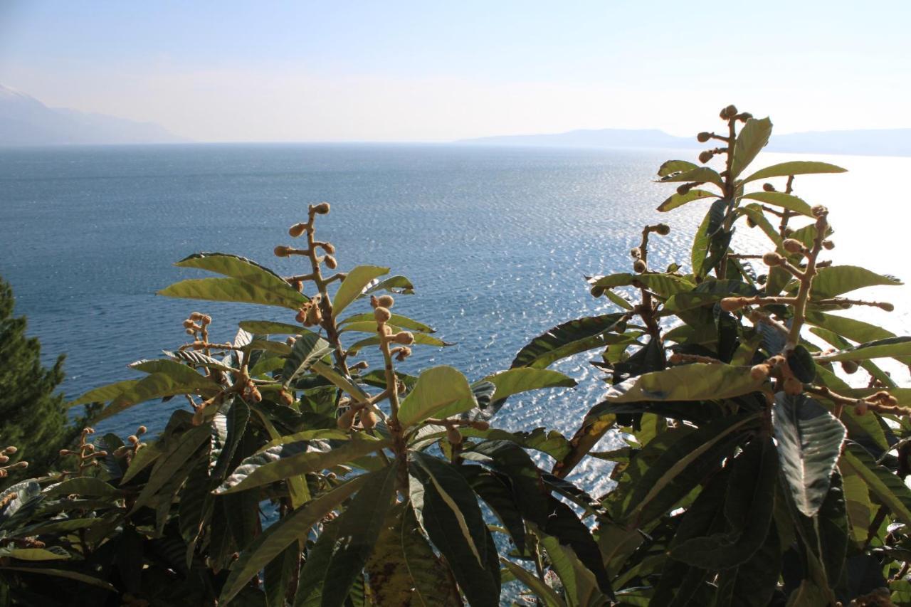 Apartments By The Sea Marusici, Omis - 8632 ميميتسا المظهر الخارجي الصورة