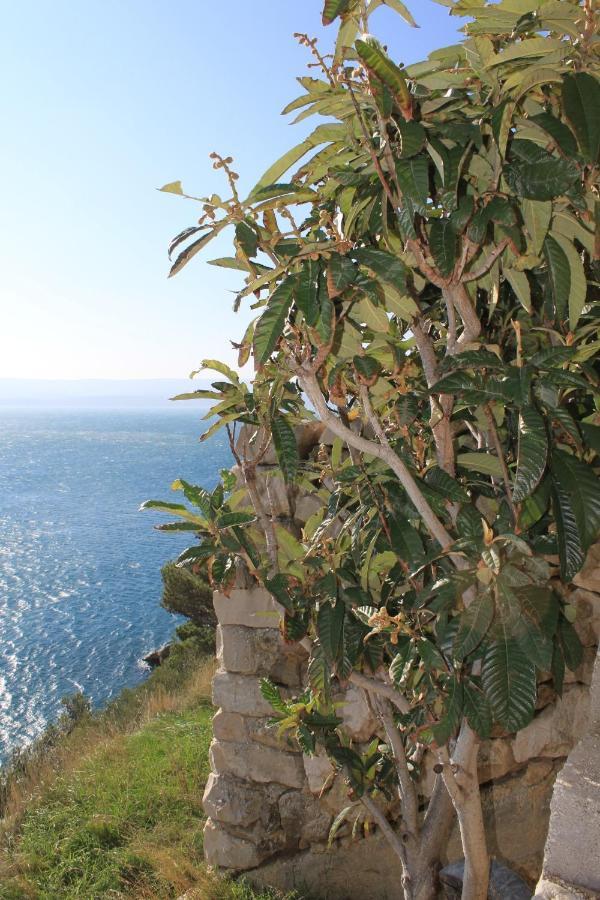 Apartments By The Sea Marusici, Omis - 8632 ميميتسا المظهر الخارجي الصورة